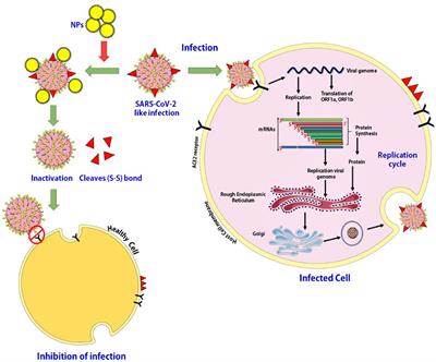 Role of Nanomedicine in Management and Prevention of COVID-19